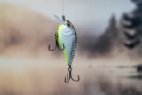 2021 Guide to the Best Crankbaits for Bass Fishing Tips