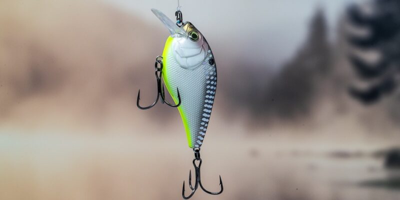 2021 Guide to the Best Crankbaits for Bass Fishing Tips