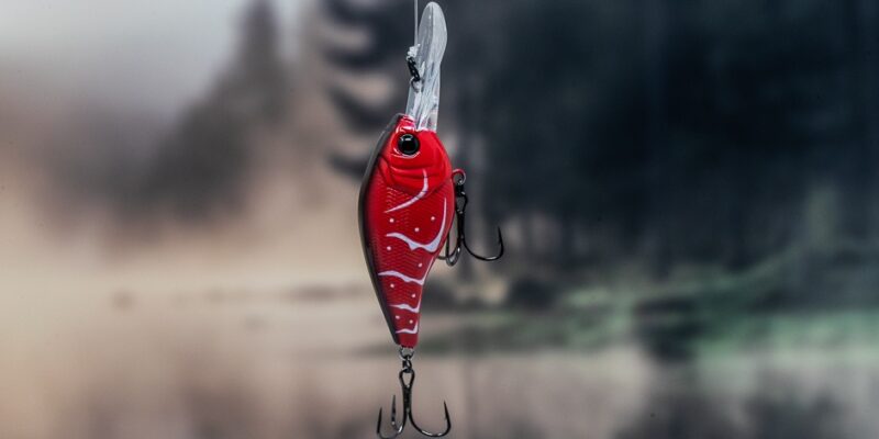 Medium Diving Crankbaits