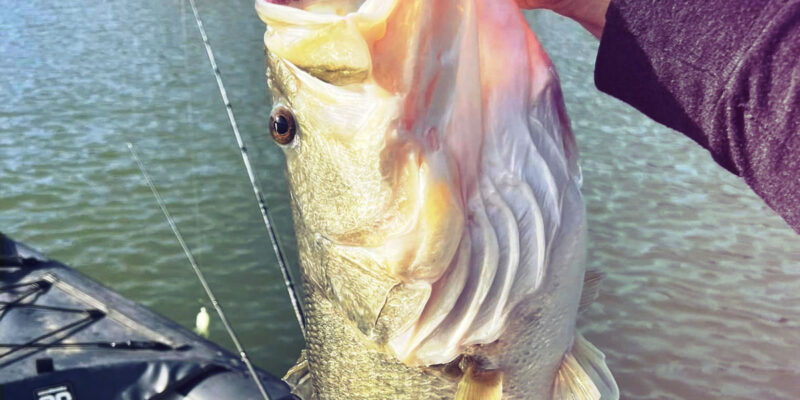 A Buyer’s Guide to the Best Fishing Kayak of 2023