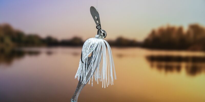 Master the art of Chatterbait fishing with these expert tips