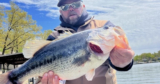 How One Man’s $100,000 Fish Became Another Man’s Dinner