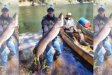 Minnesota Man Misses Chance For State Record With Massive Pike Catch