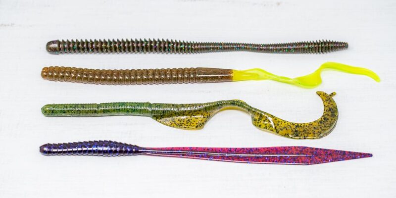 The Ultimate Guide to Soft Plastic Worm Baits for Bass Fishing