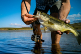 Summer Bass Fishing Tips & Techniques