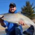 Montana Fish Records Fall – Flathead Beacon