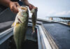 From Novice to Champion: How to Prepare for Your First Bass Fishing Tournament as a Beginner