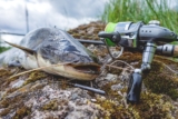 Guide to the Best Catfish Rod and Reel Setup