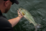 Mastering the Game: Essential Fishing Tournament Rules You Need to Know