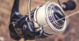 Types of Fishing Line – Mono vs Fluoro vs Braid